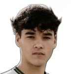 Afonso Assis