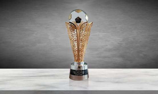 Trendyol Super League Champion