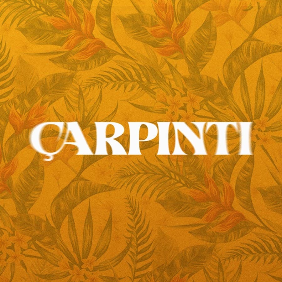 Will Aslı marry Serkan?